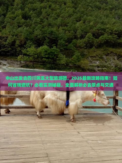 中山去四川黄龙大型旅游团