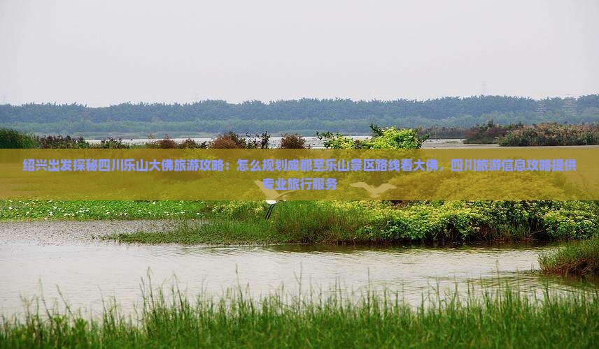 绍兴出发探秘四川乐山大佛旅游攻略：怎么规划成都至乐山景区路线看大佛，四川旅游信息攻略提供专业旅行服务