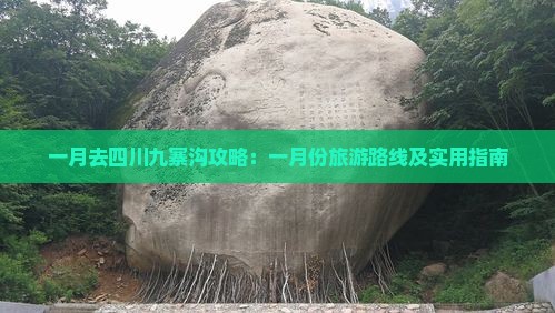 一月去四川九寨沟攻略：一月份旅游路线及实用指南