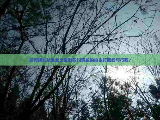 如何规划从淮北出发到四川黄龙的自由行路线与行程？