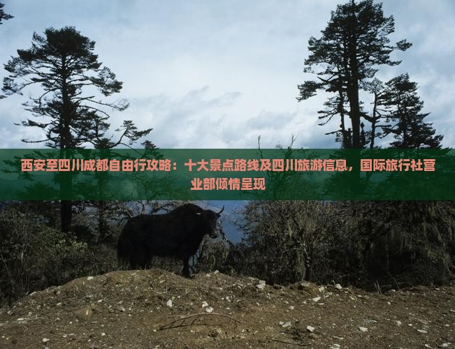 西安至四川成都自由行攻略：十大景点路线及四川旅游信息，国际旅行社营业部倾情呈现