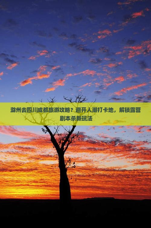 滁州去四川成都旅游攻略？避开人潮打卡地，解锁露营+剧本杀新玩法