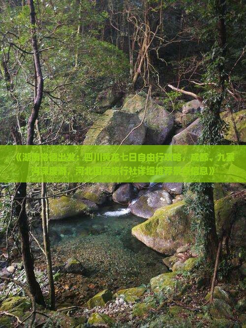 《湖南常德出发：四川黄龙七日自由行攻略，成都、九寨沟深度游，河北国际旅行社详细推荐景点信息》