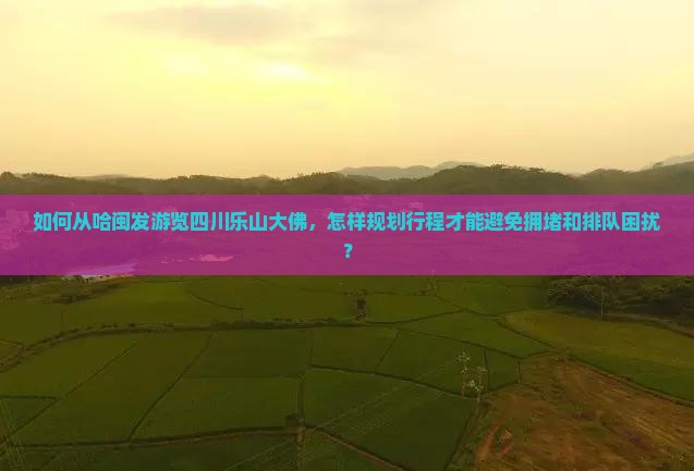 如何从哈闽发游览四川乐山大佛，怎样规划行程才能避免拥堵和排队困扰？