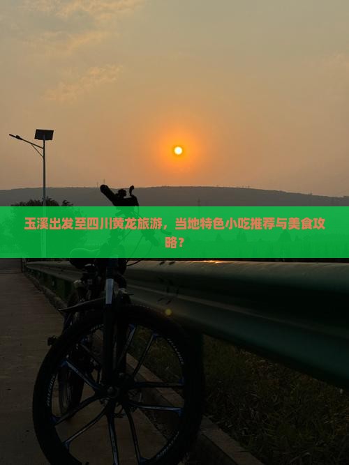 玉溪出发至四川黄龙旅游，当地特色小吃推荐与美食攻略？