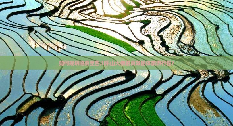如何规划临夏至四川乐山大佛的高效团体旅游行程？