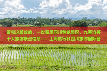 看完这篇攻略，一次看尽四川黄龙景区、九寨沟等十大旅游景点信息——上海旅行社四川旅游国际营业部专属推荐