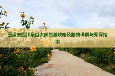 玉溪去四川乐山大佛旅游攻略及路线详解与预算指南
