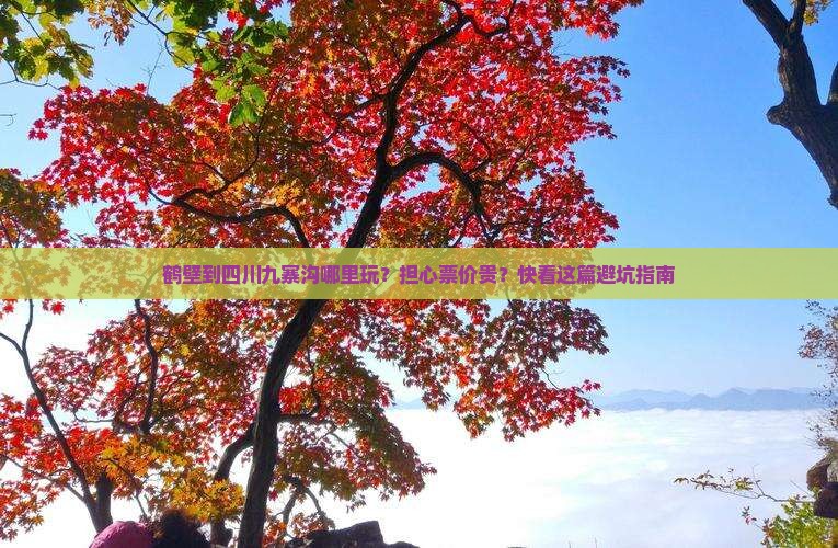 鹤壁到四川九寨沟哪里玩？担心票价贵？快看这篇避坑指南
