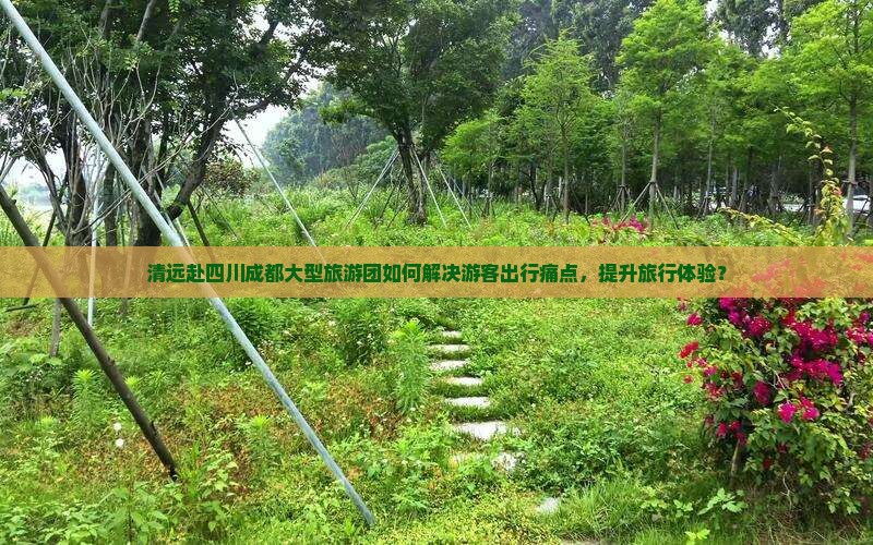 清远赴四川成都大型旅游团如何解决游客出行痛点，提升旅行体验？