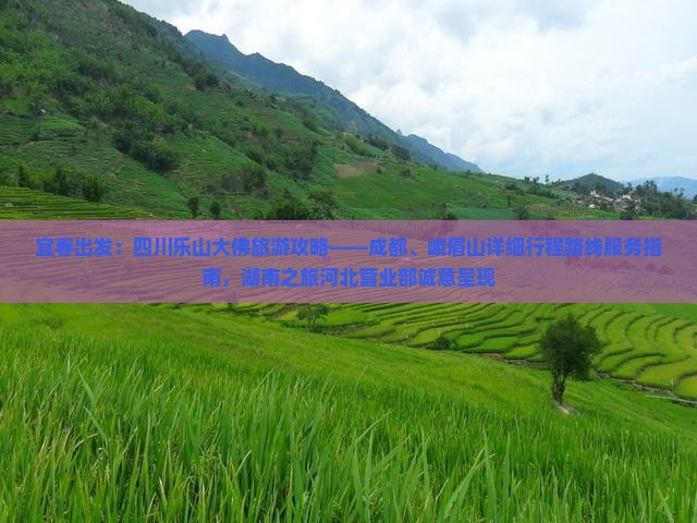 宜春出发：四川乐山大佛旅游攻略——成都、峨眉山详细行程路线服务指南，湖南之旅河北营业部诚意呈现