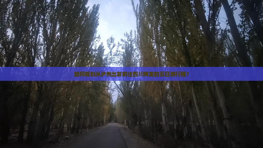 如何规划从泸州出发前往四川黄龙的五日游行程？