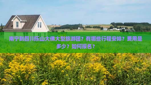 南宁到四川乐山大佛大型旅游团？有哪些行程安排？费用是多少？如何报名？