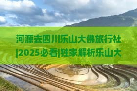 河源去四川乐山大佛旅行社