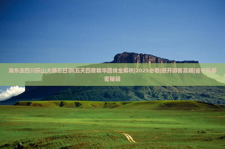 海东去四川乐山大佛五日游