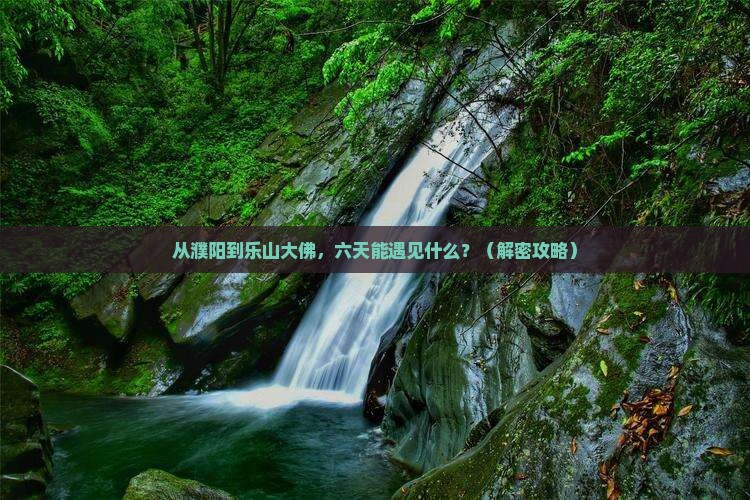 濮阳到四川乐山大佛六日游