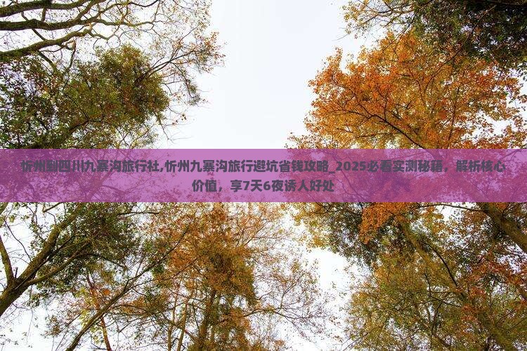 忻州到四川九寨沟旅行社