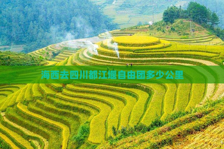 海西去四川都江堰自由团