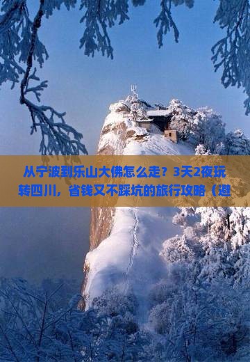 宁波去四川乐山大佛景点