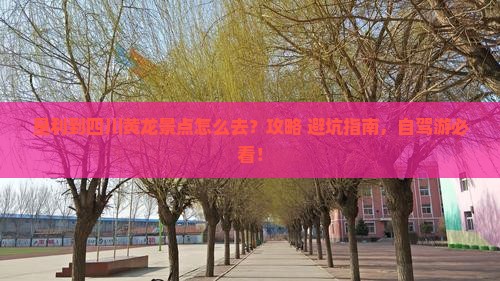 垦利到四川黄龙景点