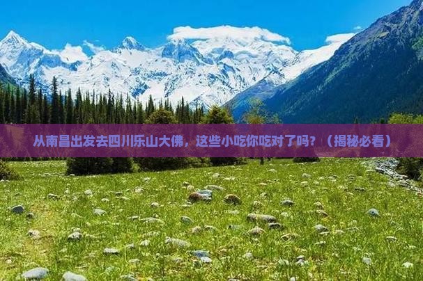 南昌去四川乐山大佛旅游小吃