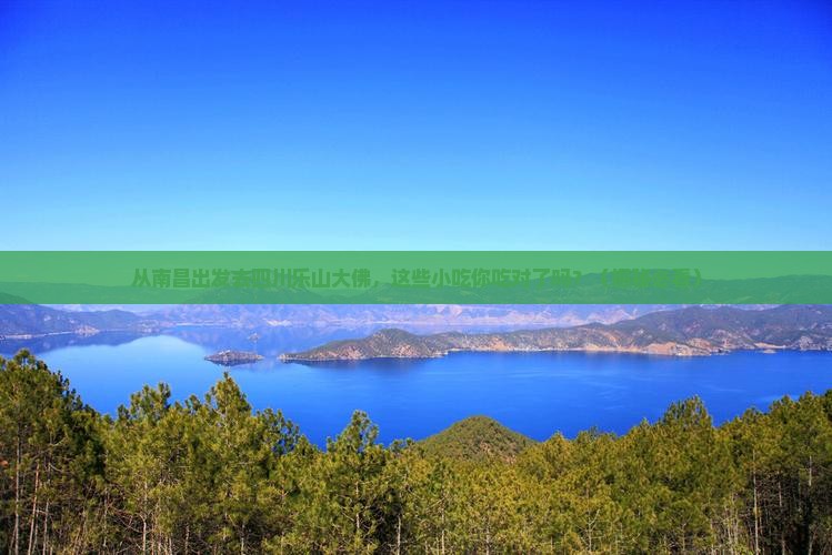 南昌去四川乐山大佛旅游小吃