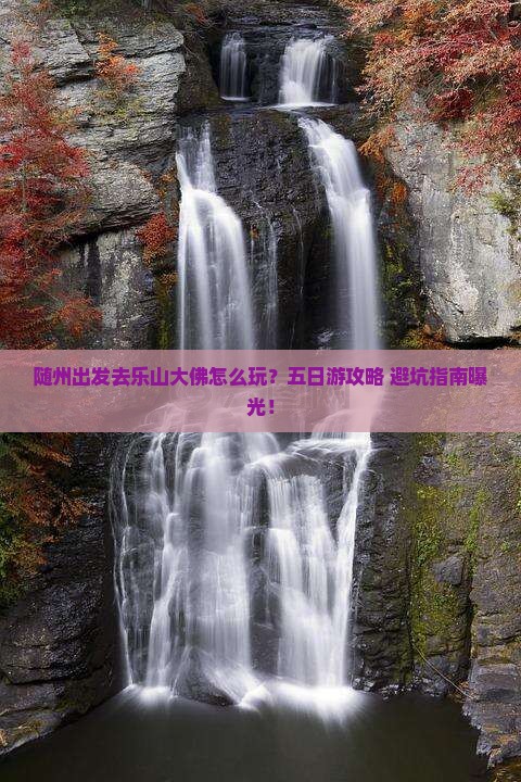 随州到四川乐山大佛五日游
