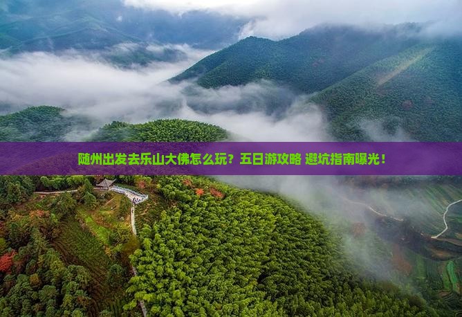 随州到四川乐山大佛五日游