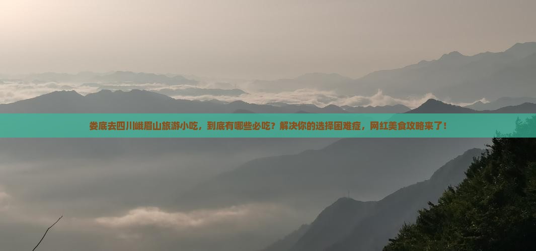娄底去四川峨眉山旅游小吃