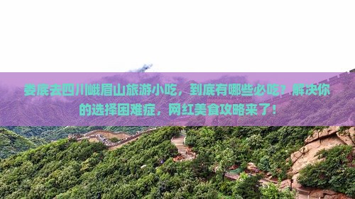 娄底去四川峨眉山旅游小吃