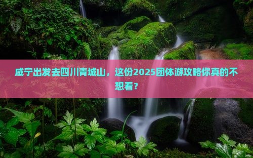 咸宁到四川青城山团体旅游