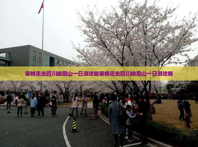攀枝花去四川峨眉山一日