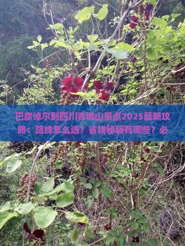 巴彦淖尔到四川青城山景点