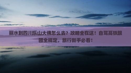 丽水到四川乐山大佛攻略