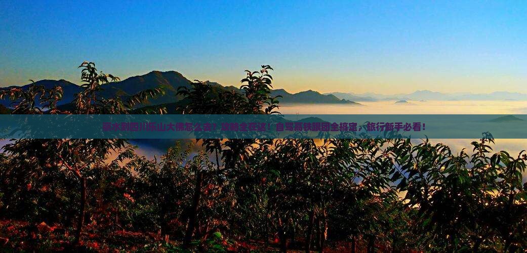 丽水到四川乐山大佛攻略