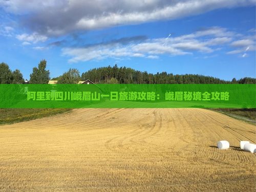 阿里到四川峨眉山一日