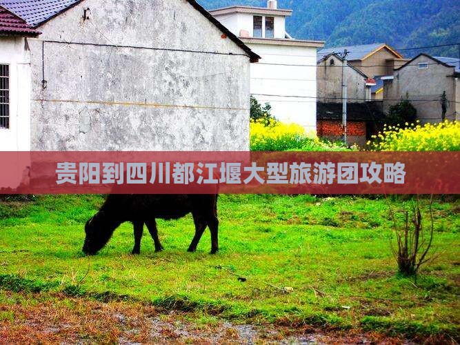 贵阳到四川都江堰大型旅游团