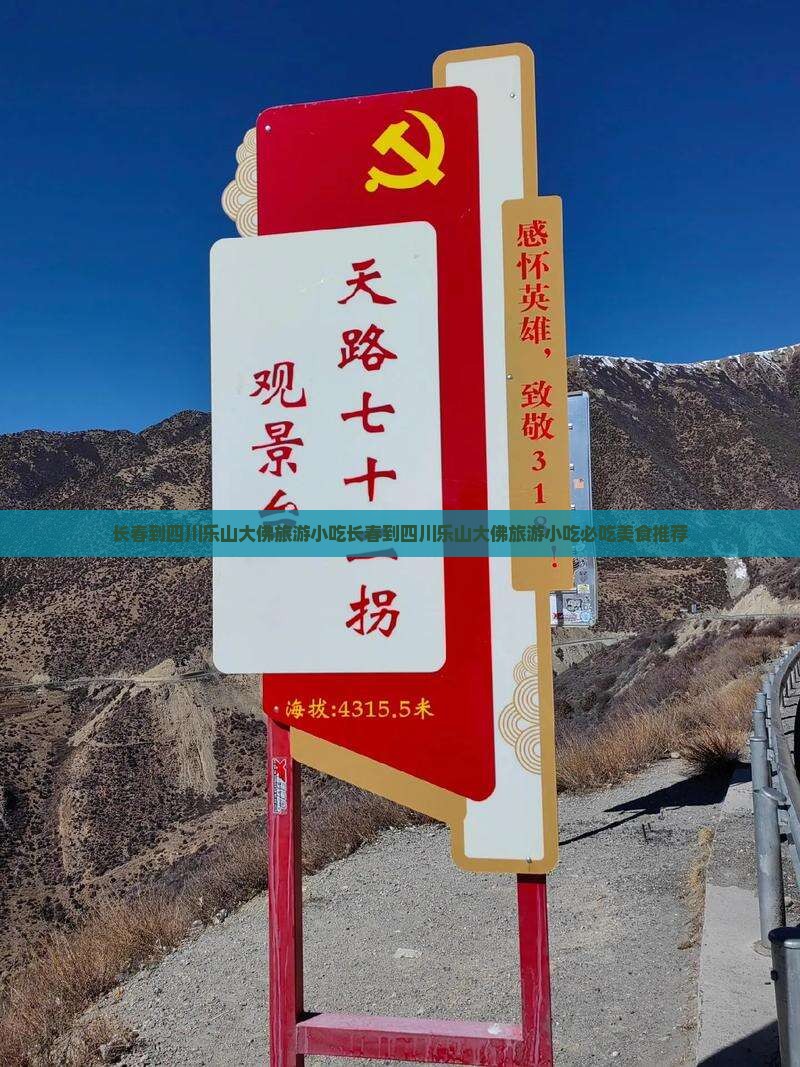 长春到四川乐山大佛旅游小吃