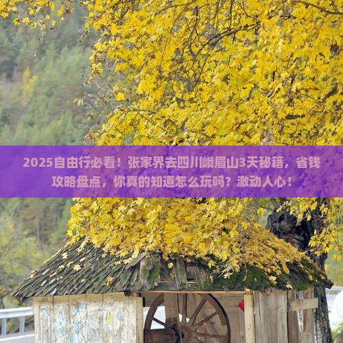 张家界去四川峨眉山自由行