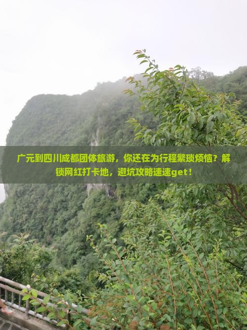广元到四川成都团体旅游