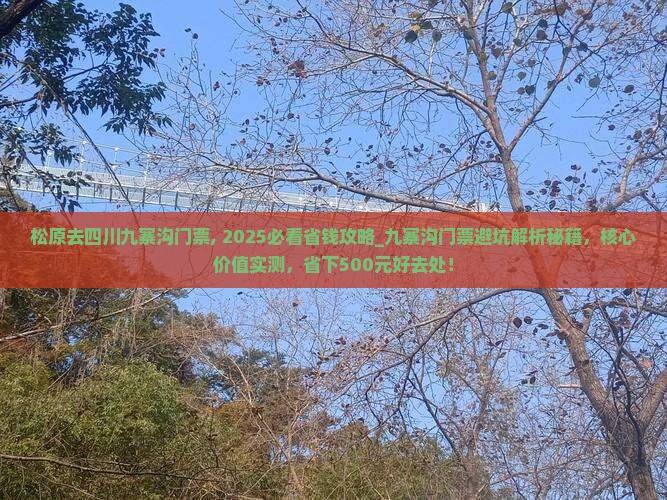 松原去四川九寨沟门票
