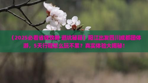阳江去四川成都团体旅游