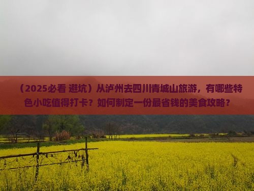 泸州到四川青城山旅游小吃
