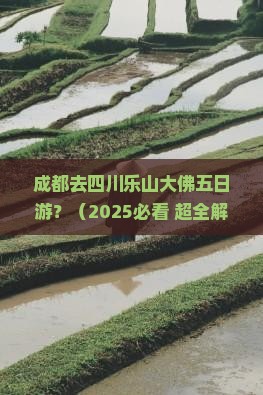 成都去四川乐山大佛五日游 成都去四川乐山大佛五日游