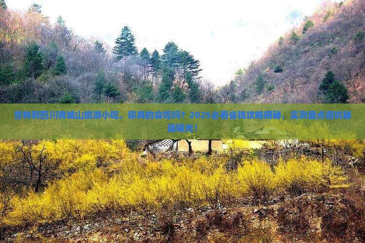 吉林到四川青城山旅游小吃