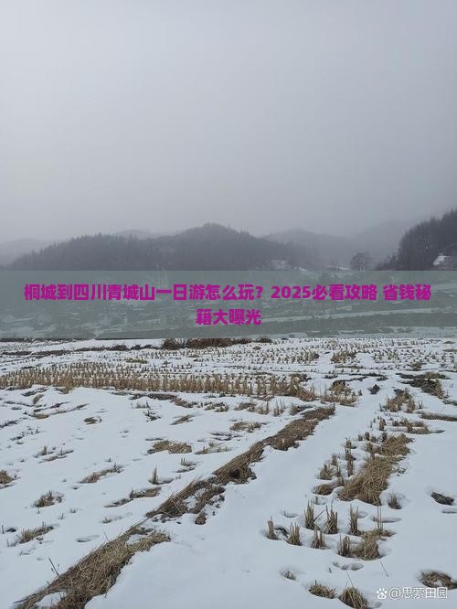 桐城到四川青城山一日