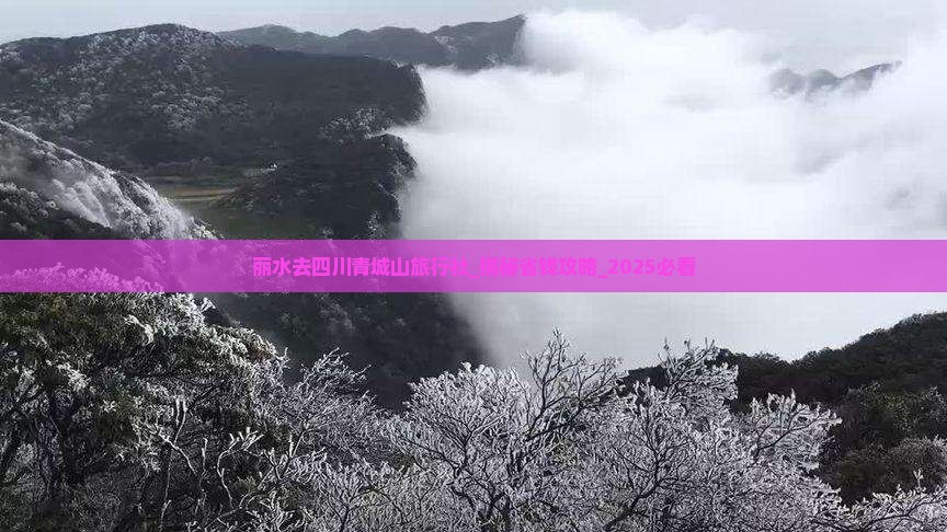 丽水去四川青城山旅行社