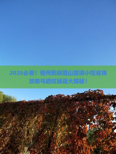 梧州到四川峨眉山旅游小吃