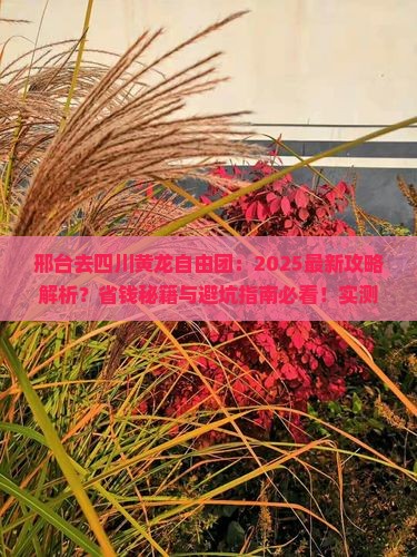 邢台去四川黄龙自由团