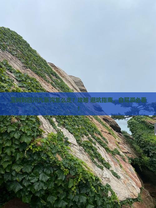 玉树到四川九寨沟景点